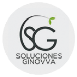 Logo soluciones ginovva